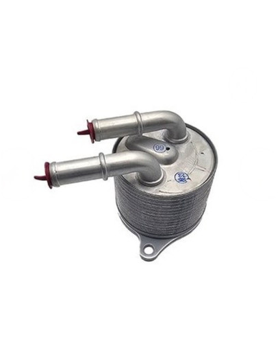 خنککنگیربکستارا(DAE)